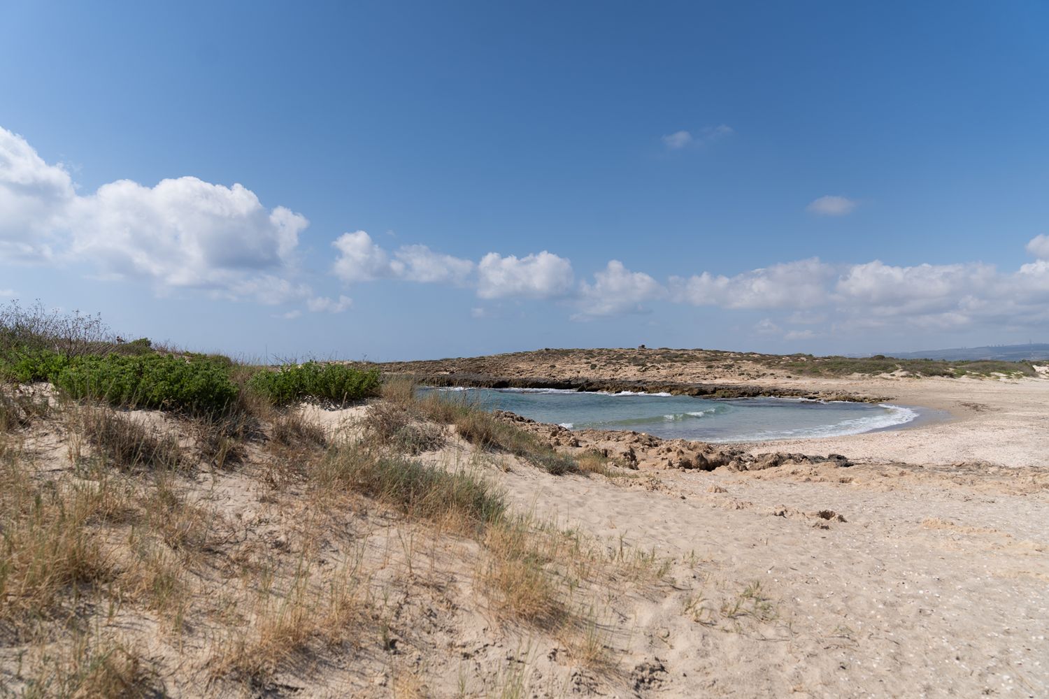שמורת טבע חוף הבונים